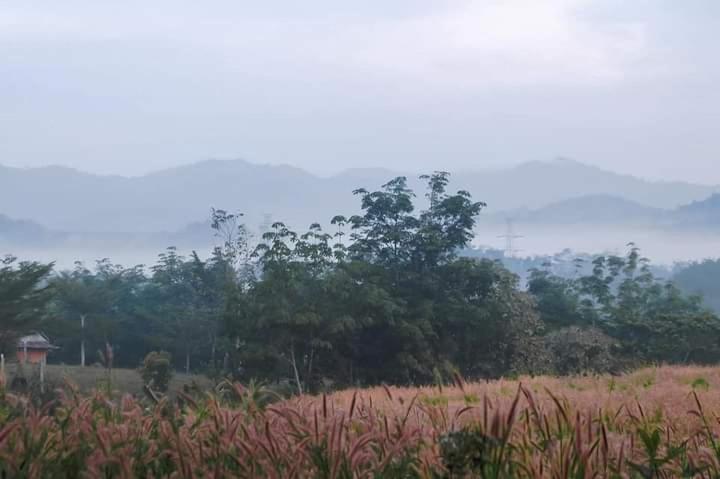 ภูริรักษ์ โฮมสเตย์ Ban Pha Saeng Lang Luaran gambar